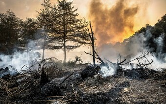 Оценка ущерба после стихийного бедствия в Новокузнецке: отчет оценщика